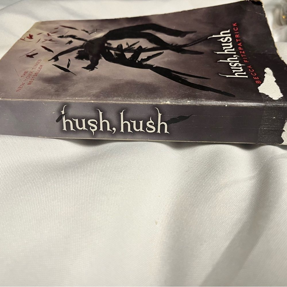 Hush, Hush Paperback Book - Picture 2 of 3